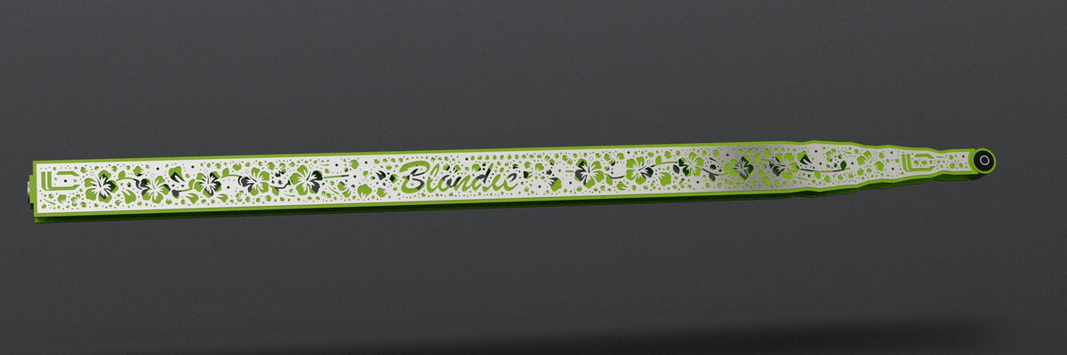 Custom ladder bar example with a custom script overlay, side view (render)